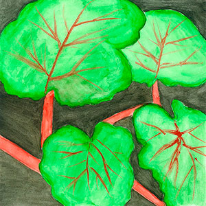 Rhubarb - Watercolours  - School Recipe Book Project - Creation Art Cards